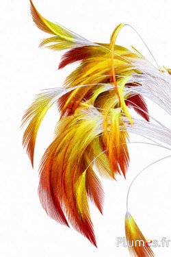 Gallo - 10-15 cm - bianco-giallo-caramello
